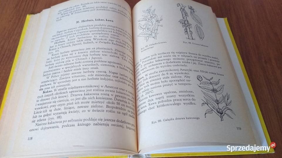 Przyroda klasy V Maria Janicka podręcznik 5 Gdańsk