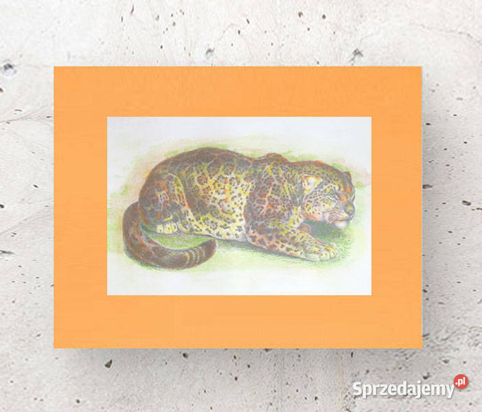 lampart plakat A3 jaguar grafika na ścianę retro Toruń