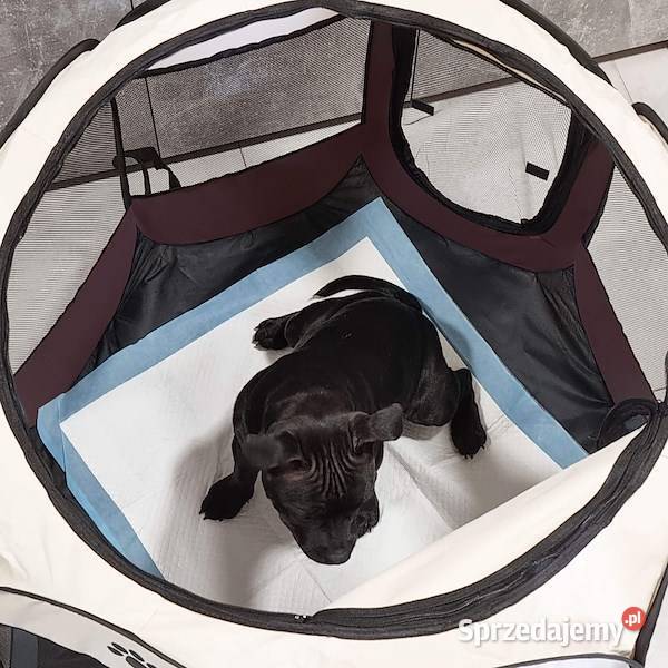 LEGOWISKO Psa Kota Królika Kojec ANTYSTRESOWY Dla psów