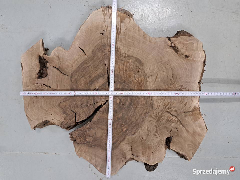 Plastry Orzech Korzeń suche Kalinówka