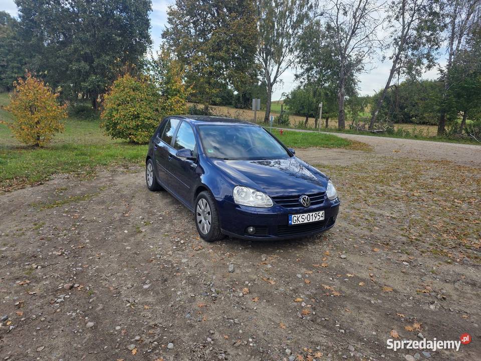 Vw golf 5 16 mpi Zarejestrowany w Polsce Golf Lipusz