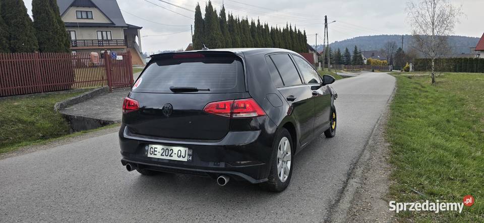 Volkswagen Golf VII 16 TDIuszkodzony Hatchback