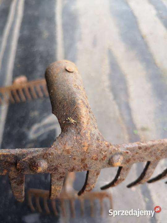 Metalowe grabie Grabie Narzędzia ogrodnicze Gdańsk