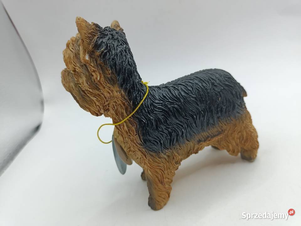 Figurka pies Yorkshire LEONARDO Dog studies Zamość