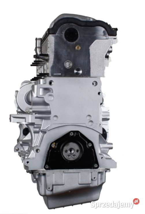 Silnik Regenerowany 25 TDI Vw Transporter T5 AXD