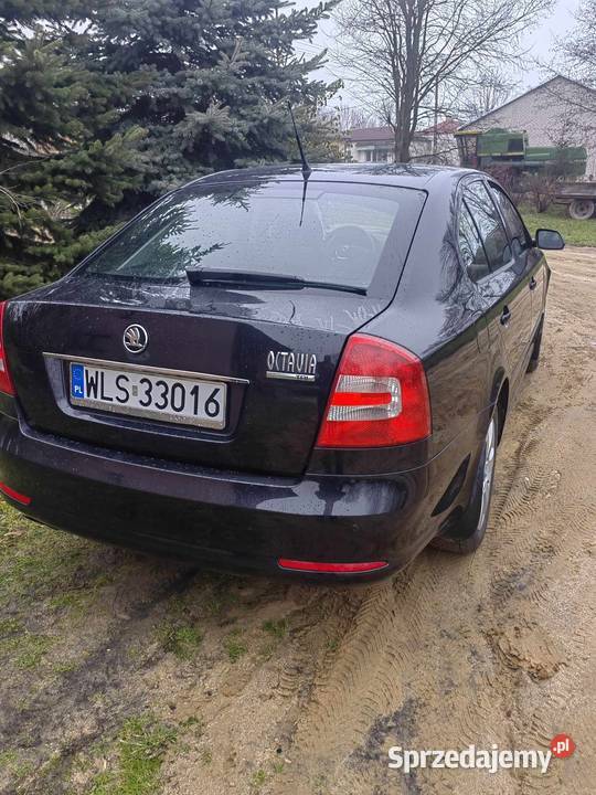 Skoda Octavia 19 TDI 2008r Łosice