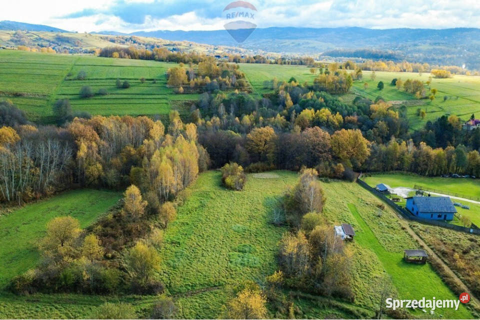 Działka rolna w Oczkowie Sprzedaż śląskie Żywiec
