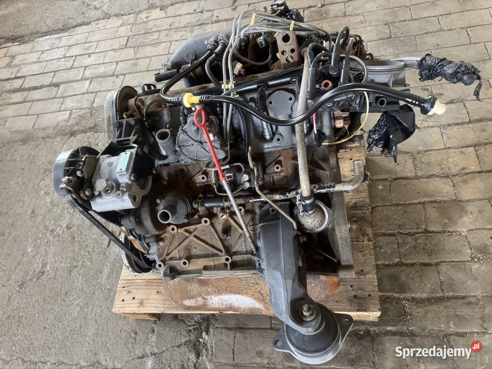 Silnik Audi Volkswagen 22 10v 115 HP Audi 100 Chojnów