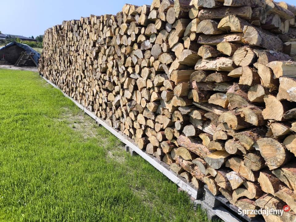 Sosna drewno kominkowe drewno na ognisko Bojszowy