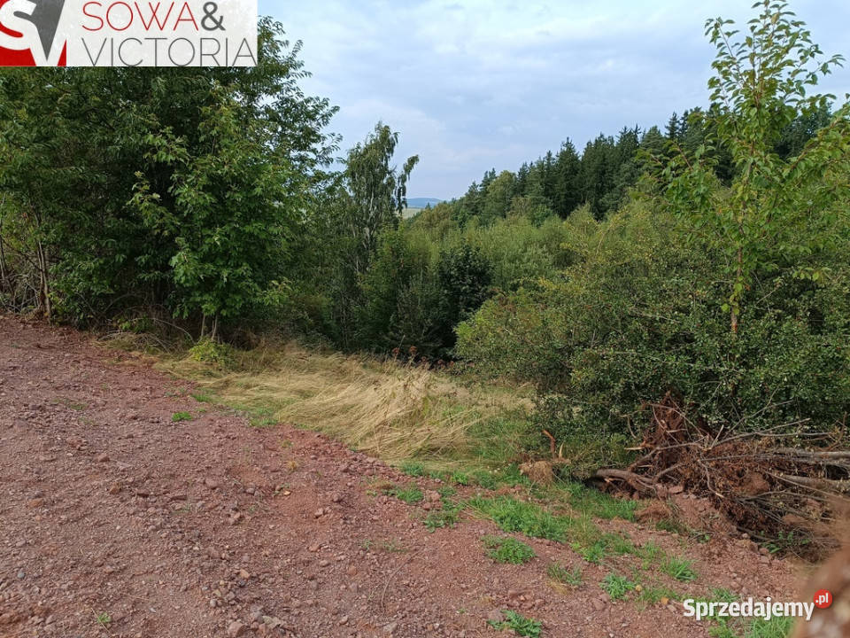 Działki w pobliżu Szczawna Zdroju dolnośląskie Struga