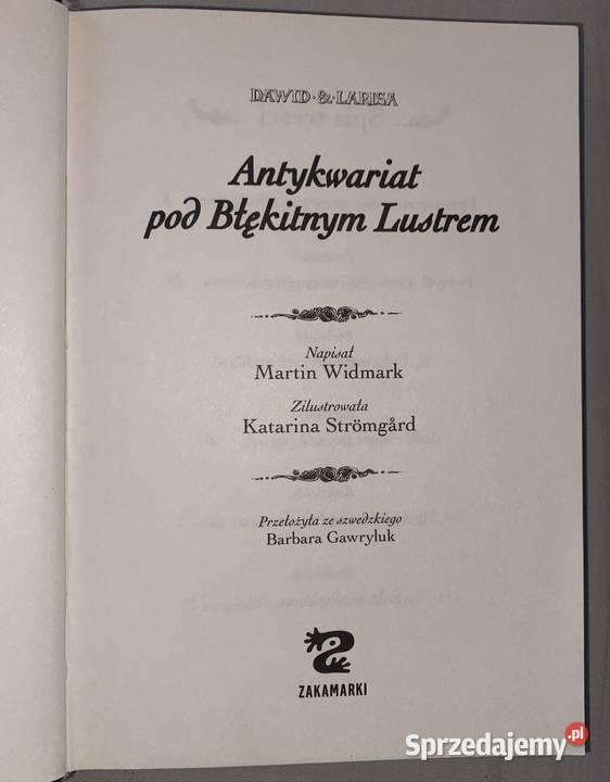 Książka Antykwariat pod Błękitnym Lustrem Bytom
