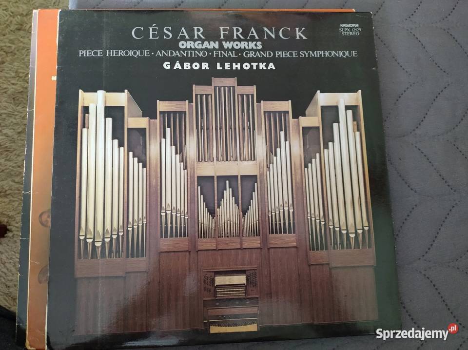 Płyty winylowe Żory sprzedam