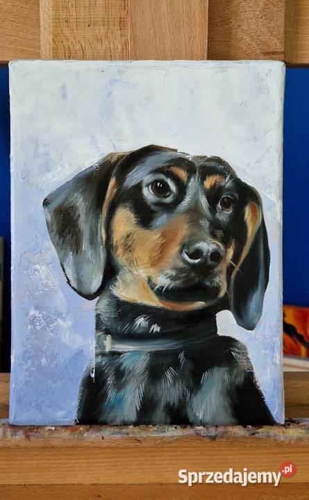 Obraz olejny portret Gończy polski 18x24 Męcina