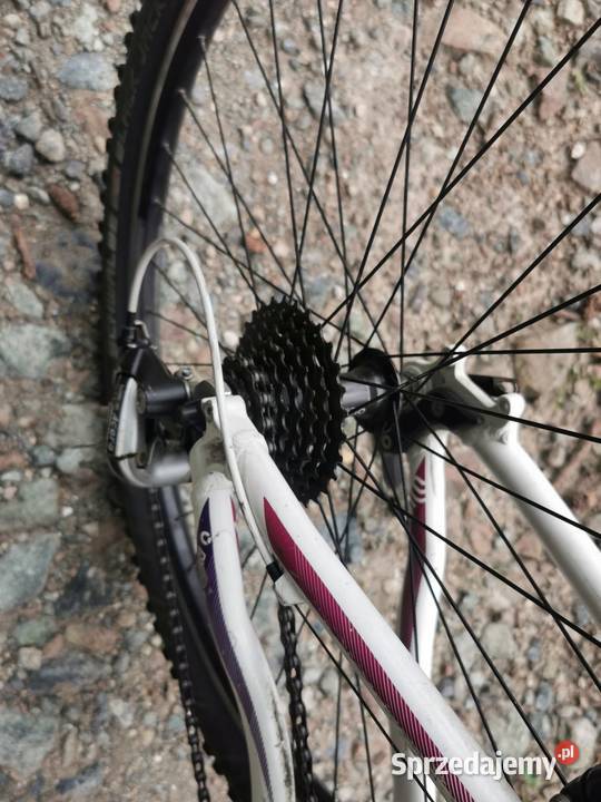 Rower górski Cube Access WLS 26 Wrocław