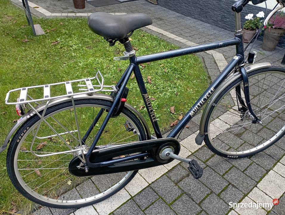 Rower męski Multicycle 7 biegów rozmiar xxl małopolskie sprzedam