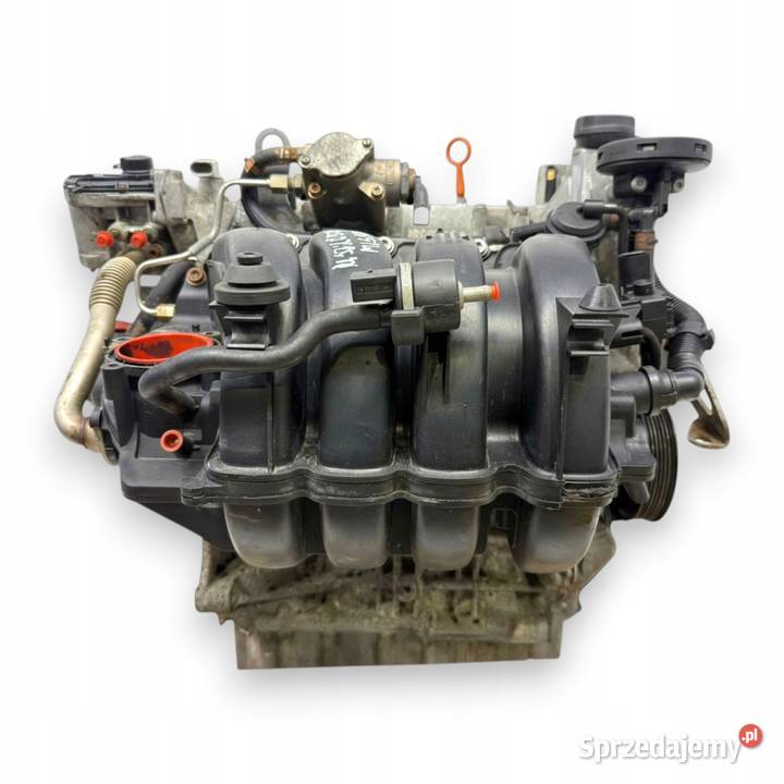 SILNIK BLF Audi A3 II 8P Skoda Octavia II 16 FSI osobowe Chełm