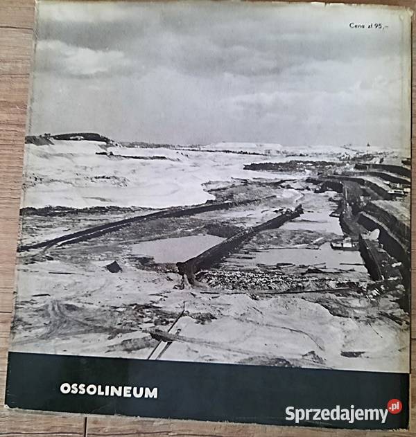 Miedzy Odrą i Nysą A Czelny Ostrów Wielkopolski