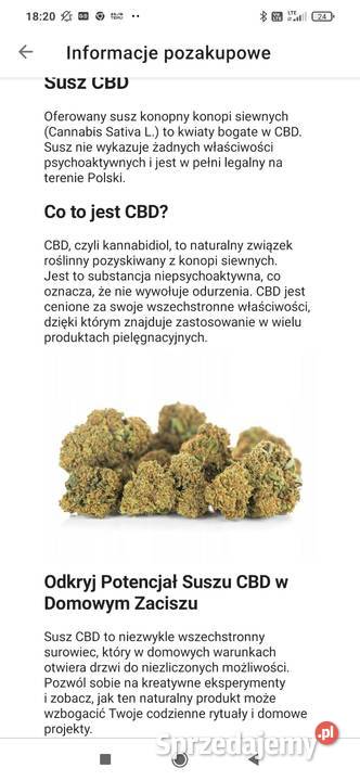 CBD susz konopny JACK HERER 6g Olsztyn