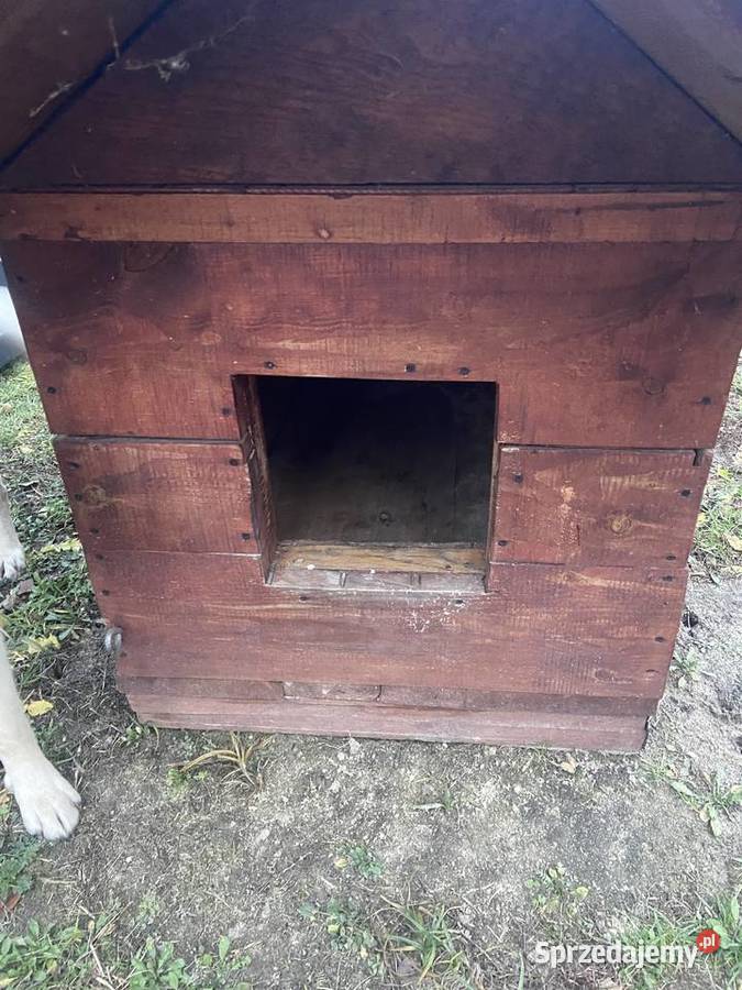 buda psa Dla psów Głogów Małopolski