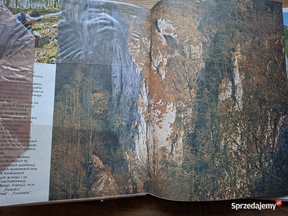 Dolina Orlich Gniazd Barbara i Leszek Mapy i przewodniki Kraków