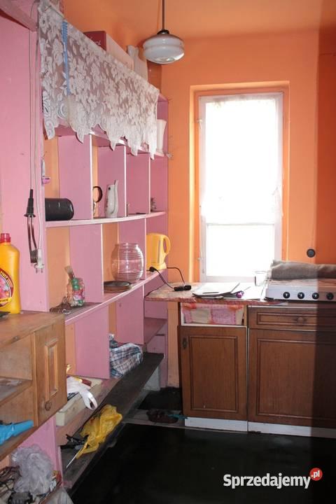 dom Żółwin kPodkowy Leśnej Żółwin