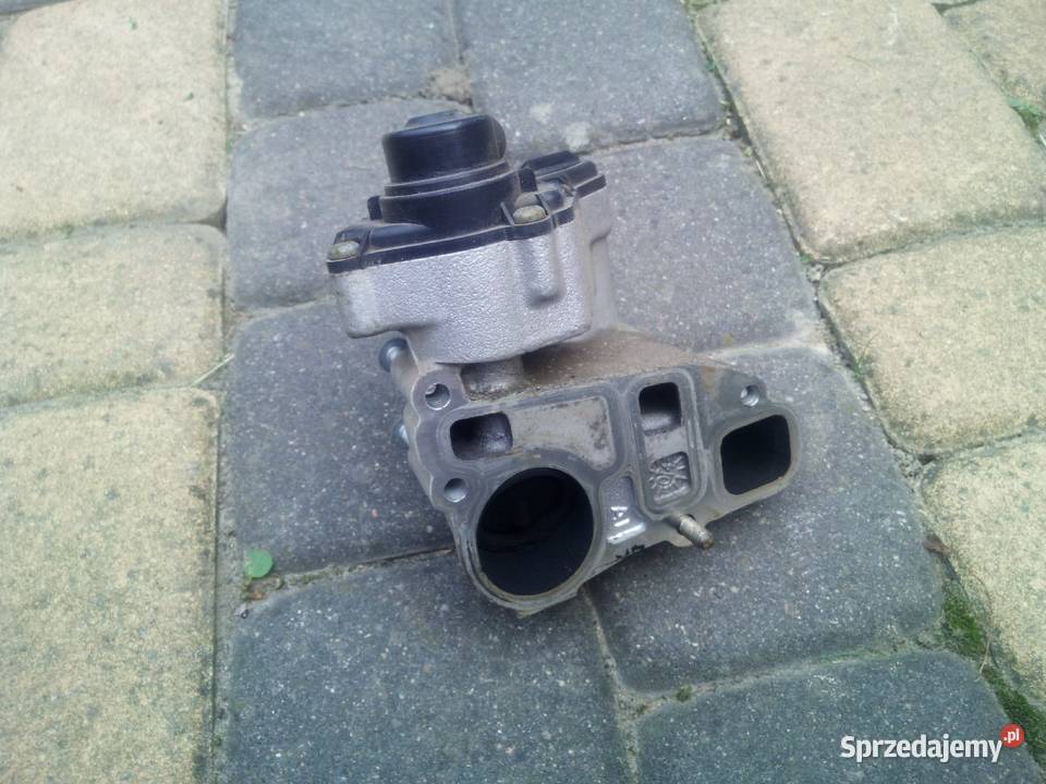 Zawór EGR opel Z22YH Direct Hrubieszów