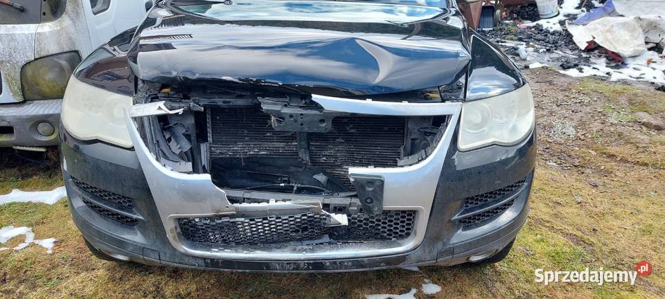 Touareg spotkaniu z sarną