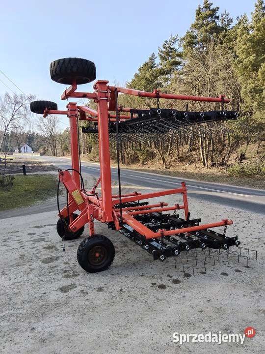 CHWASTOWNIK Pielnik BRONA QUIVOGNE 6m 2008 Brony Konin