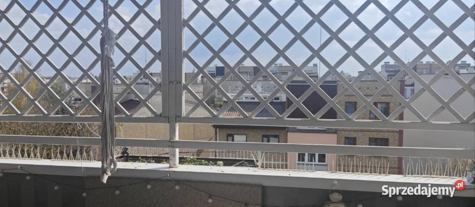 Kratka Pergola ogrodowa Balkonowa drewniana 2 Pergole i trejaże Pergole i trejaże Czeladź