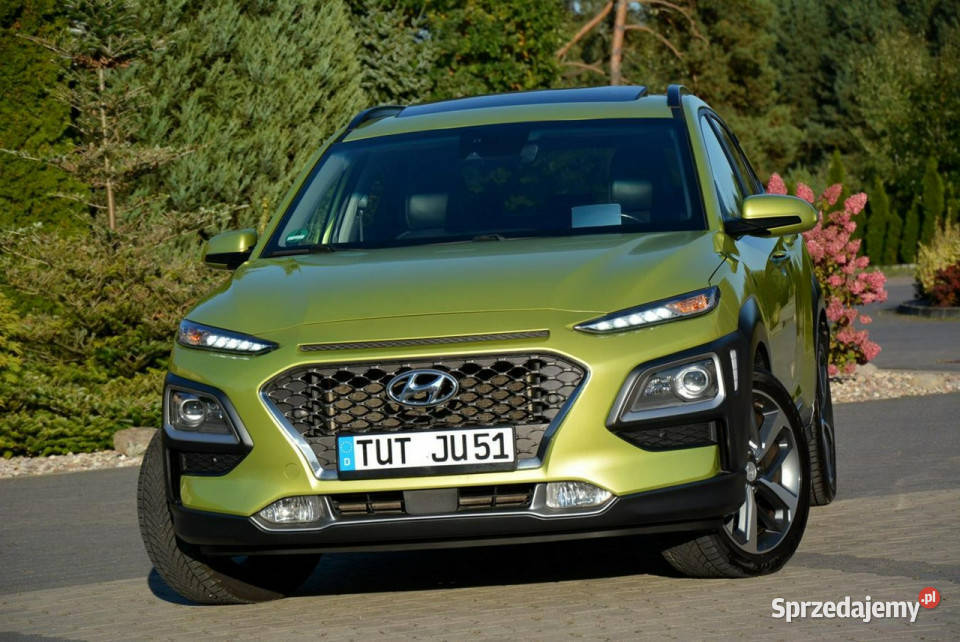Hyundai Kona Premium Full Led Navi Krell Kamera garażowany