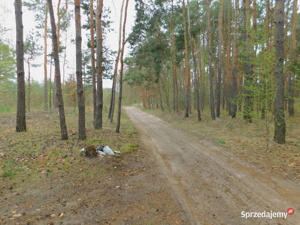 Syndyk sprzeda Radom Andersena mazowieckie sprzedam
