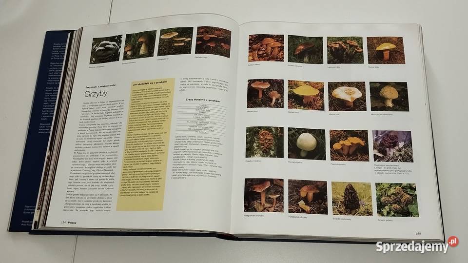 Album Culinaria Kuchnie Europy Warszawa