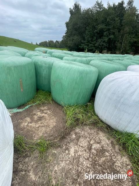 Baloty sianokiszonki