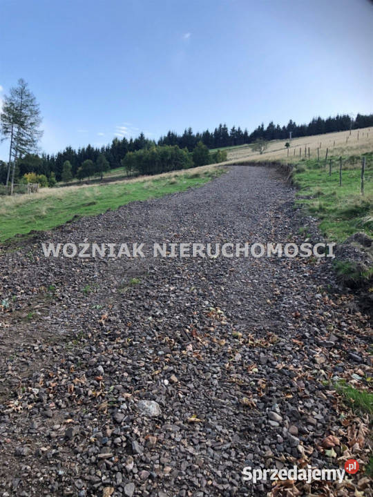 Grunt 879m2 Rzeczka