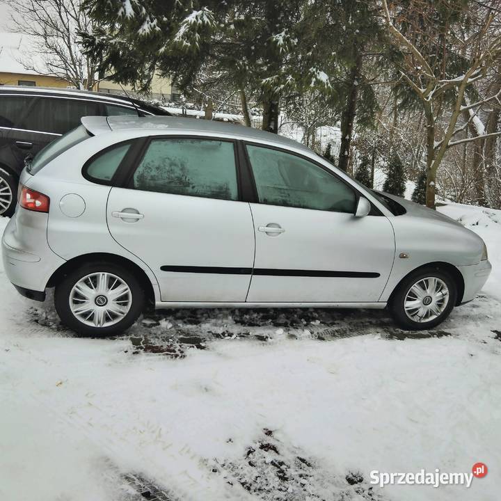 Seat ibiza Dębica