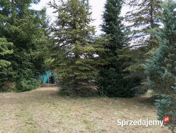 Sprzedam Działkę ROD 20zł/m2 sprzedam