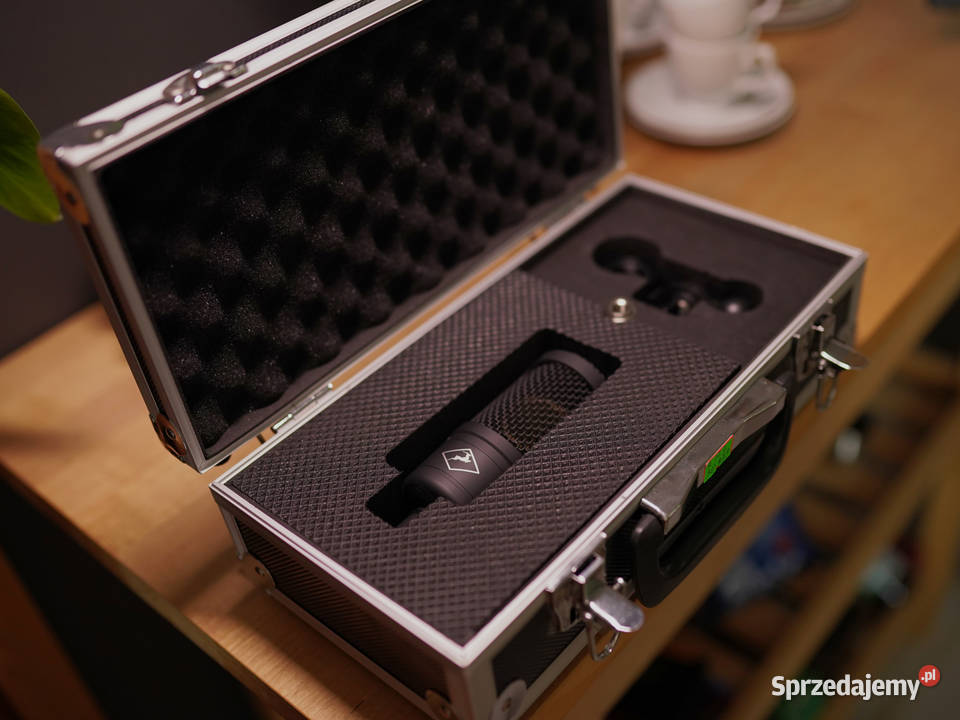 Antelope Audio Edge Solo mikrofon modelujący