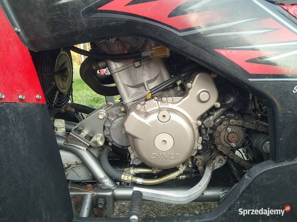 Quad 450 z dokumentami do rejestracji Dinli Mechowiec sprzedam