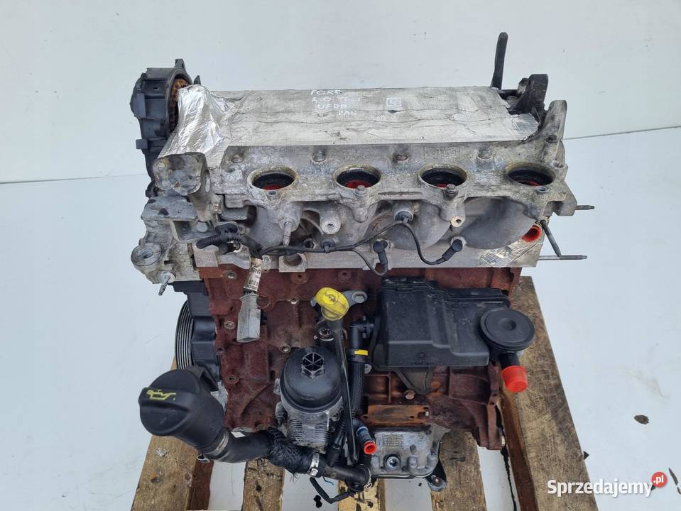 SILNIK Ford C C II 20 TDCI 140 UFDA UFDB sprzedam