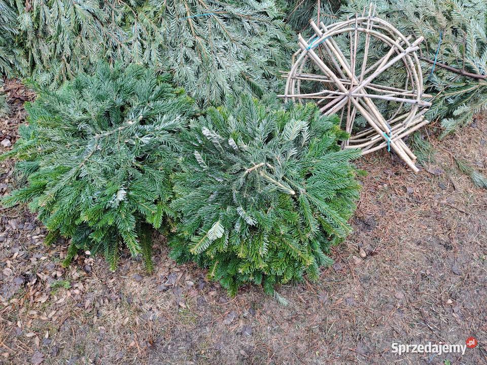 stelaże pod wieńce pogrzebowe Sierpc sprzedam