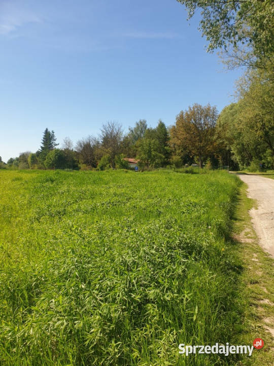 ZABIERZÓW CENTRUM teren pod 7 domków