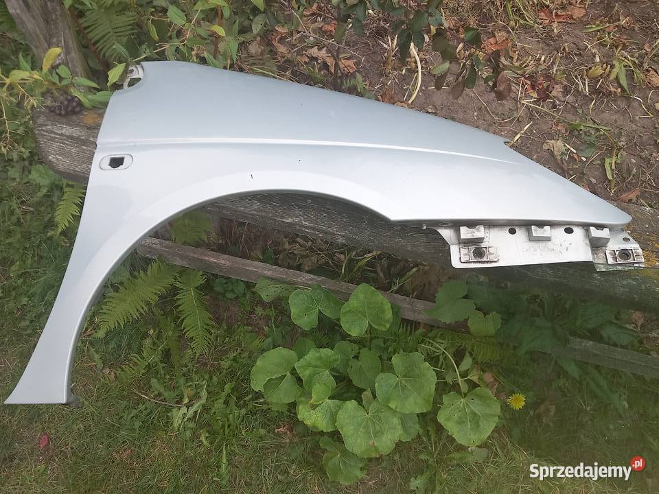 Błotniki prawy lewy do Renault Megane Scenic 19 Sosnowiec