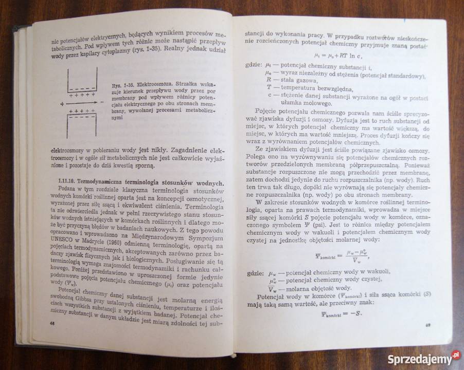 Witold Czerwiński Fizjologia roślin Parczew
