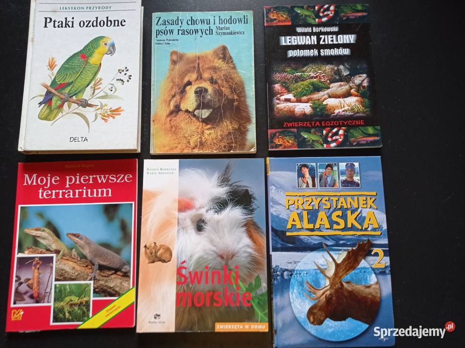 Książki różne mix zestaw Wałbrzych