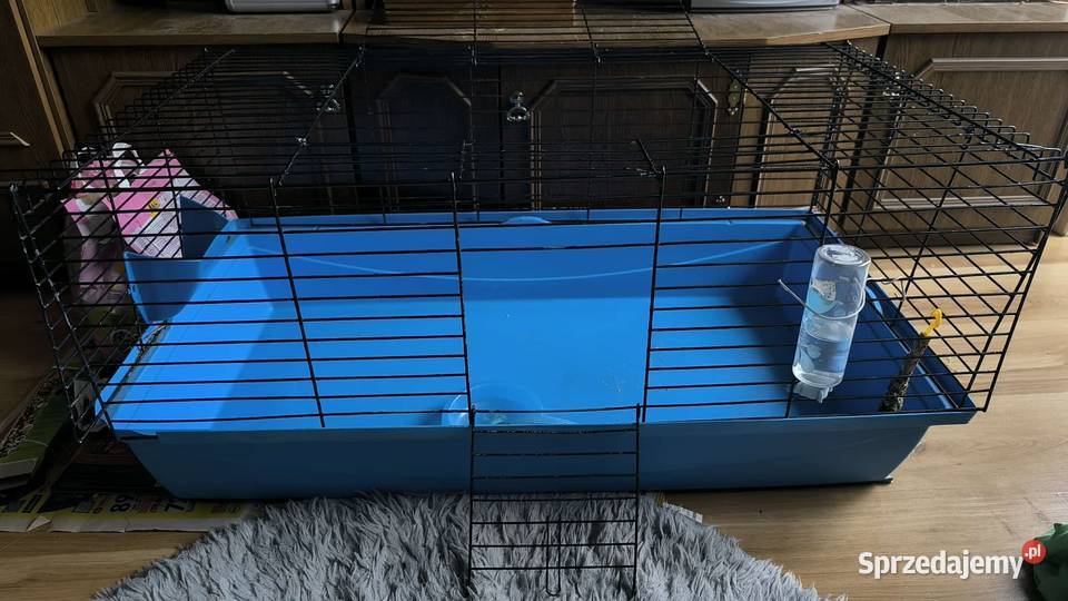 Duża klatka królika innego gryzonia 100 x 50 x Bydgoszcz