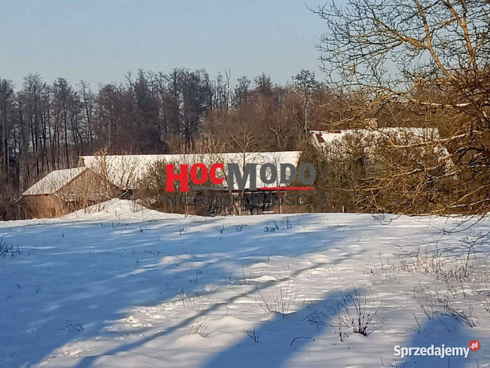Działka 19 ha z budynkami i lasem Obręb