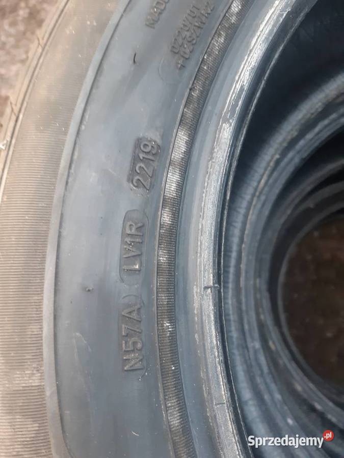 Opony zimowe sava 2355517 Kielce