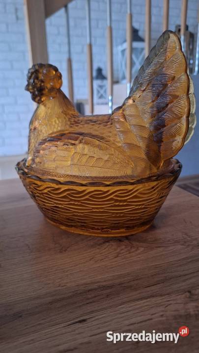 Kura stara Kolonowskie