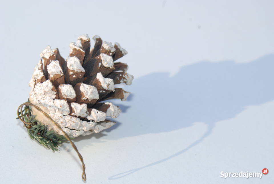 Stara ozdoba choinkowa szyszka naturalna Cieszyn sprzedam