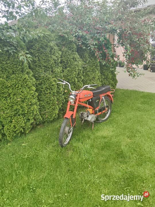 Sprzedam ogar 205 lubelskie Biała Podlaska